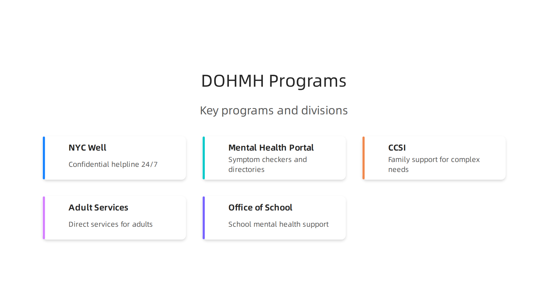 Overview of the NYC Department of Health and Mental Hygiene's core initiatives and internal structures.