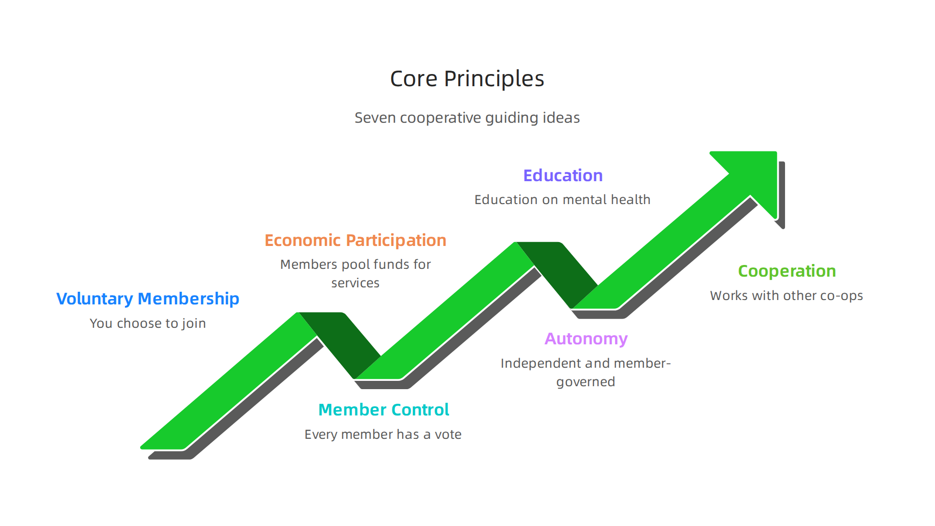 Mental health cooperatives are guided by seven core principles that prioritize member ownership and community well-being.