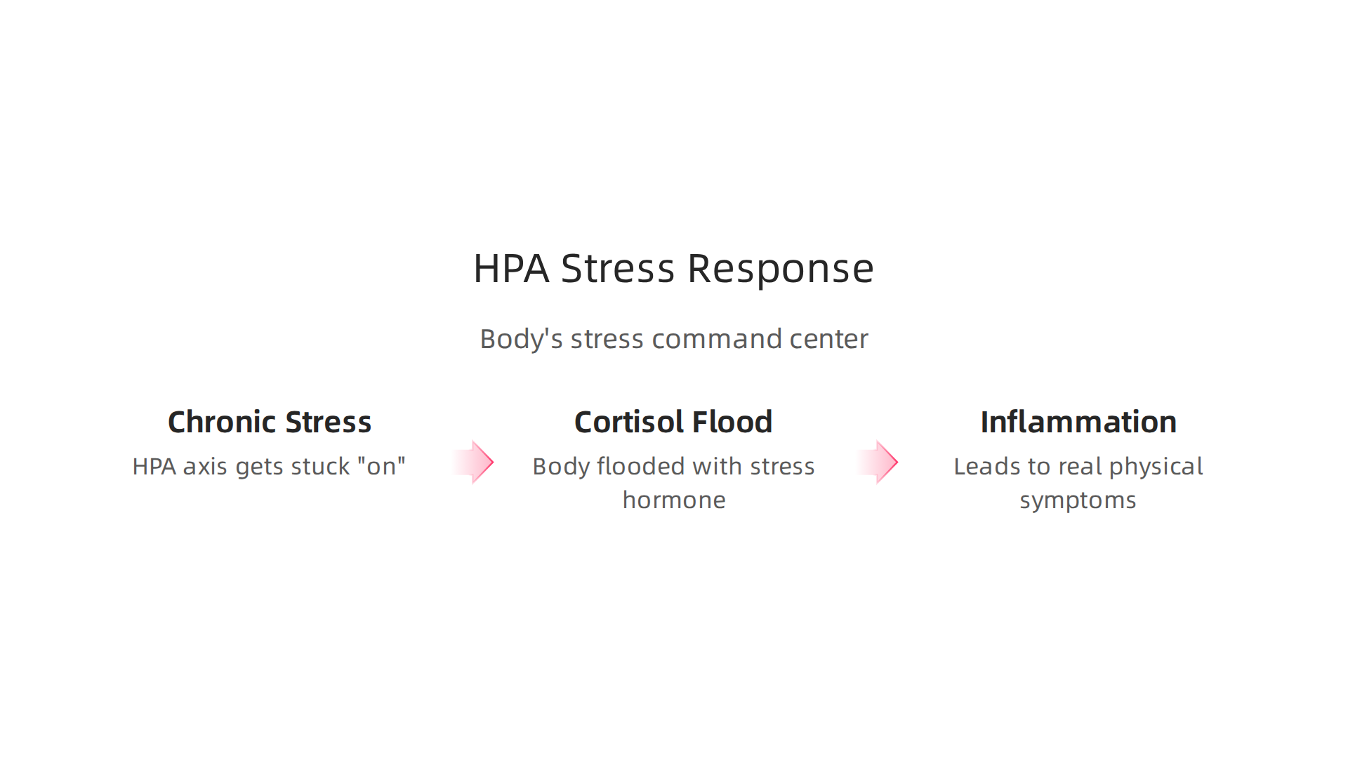 The HPA axis plays a central role in the body's response to stress, linking brain, hormones, and immune system.
