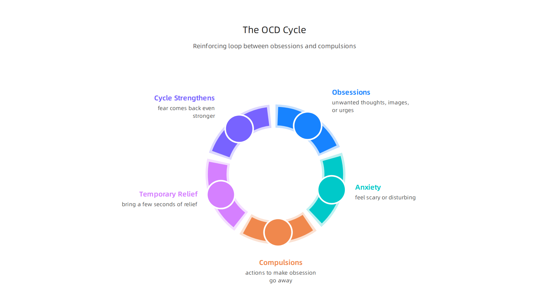 Illustrating the reinforcing loop between obsessions and compulsions that characterizes OCD.