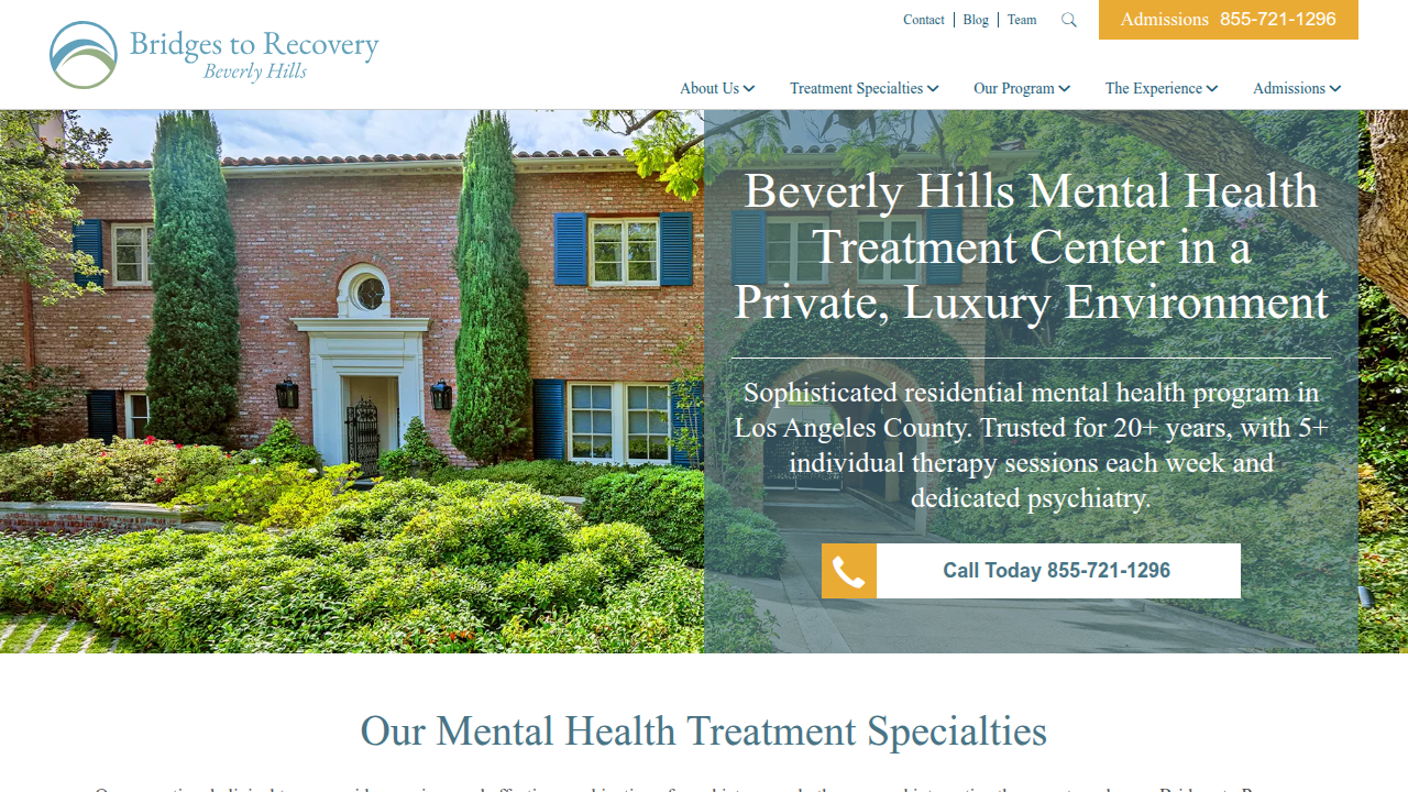 Screenshot of Bridges to Recovery, a mental health treatment center, often providing resources for conditions like BPD.