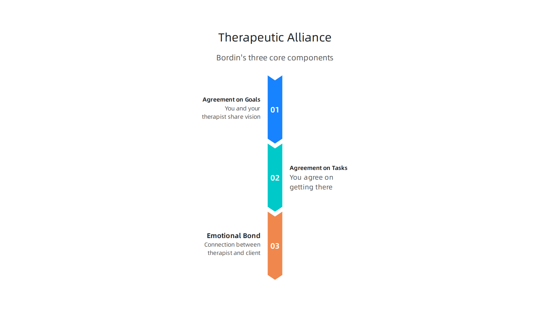 Edward Bordin's model outlines the three core components that form a strong therapeutic alliance, essential for effective therapy.