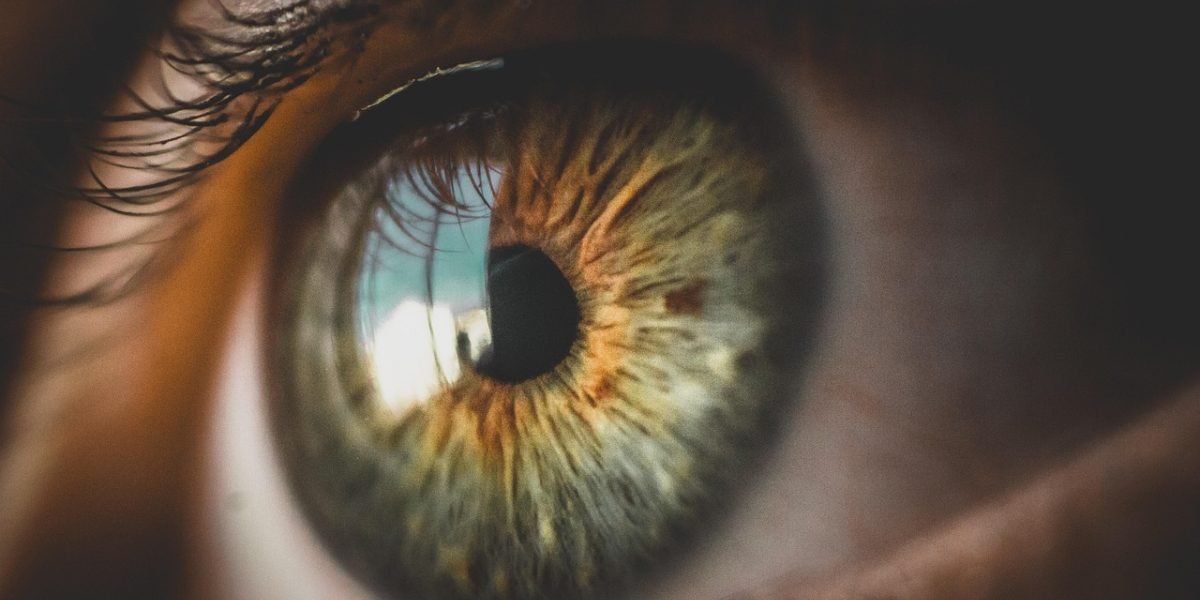How Cognitive Behavioral Therapy for Intermittent Explosive Disorder Rewires Your Anger Response
