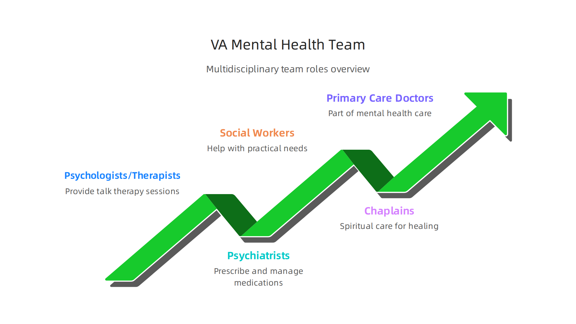 Visualizing the multidisciplinary team that collaborates to provide comprehensive VA mental health care.